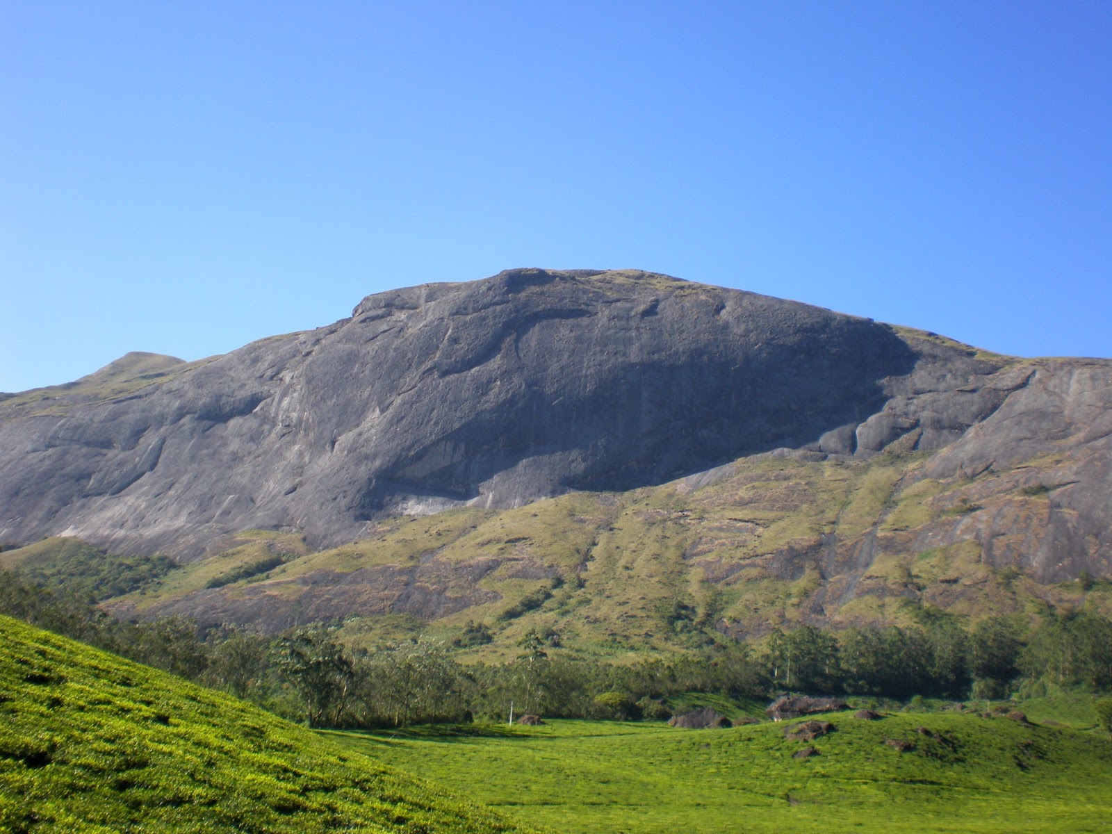 Anamudi Peak