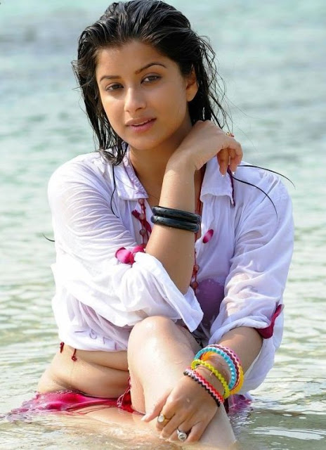 South Indian Actress Hot Navel Show Photos ~ Hollywood Celebrities In Bikini