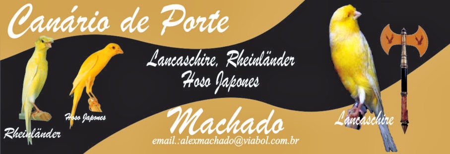 Canario de Porte Machado