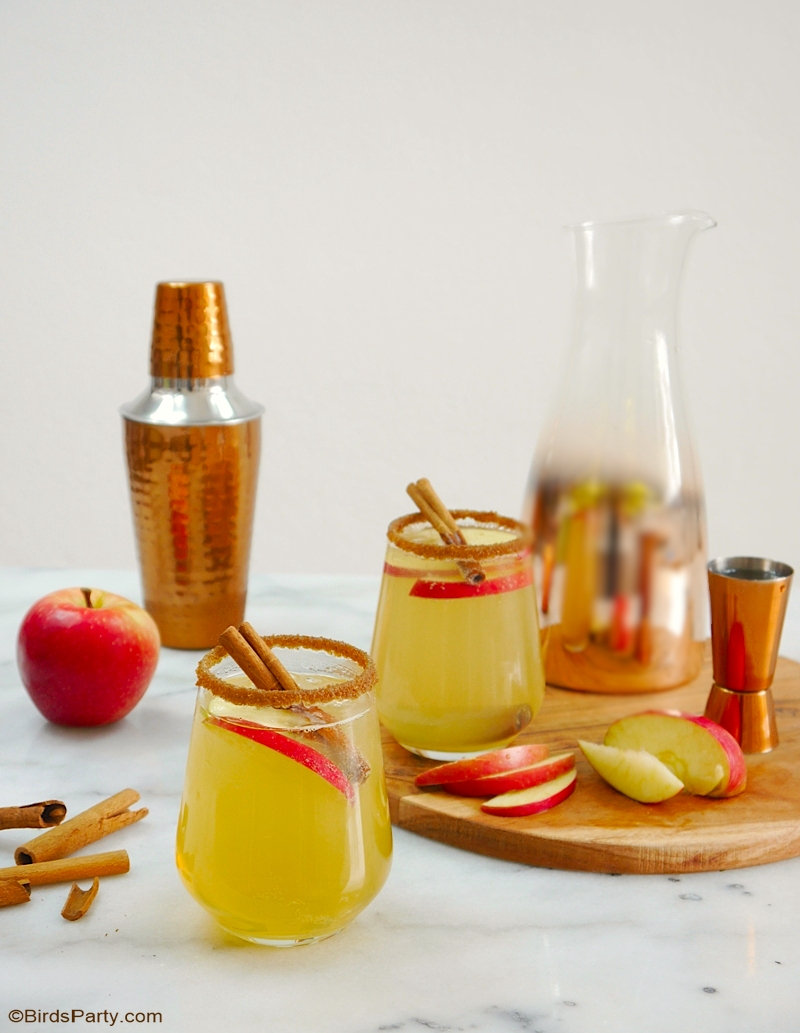 Apple and Cinnamon Punch Cocktail  - an easy, quick and delicious drink recipe for fall gatherings or Thanksgiving! Make it in a shaker or a make a big batch in a punch bowl! by BirdsParty.com @birdsparty #fall #autumn #fallrecipes #fallcocktails #apples #applerecipes #applecocktail #applecinnamon #applepunch #applecider #applerecipe #appledrink #fallcocktails #thansgivingcocktails