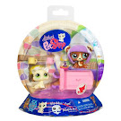 Littlest Pet Shop Globes Bear (#1075) Pet