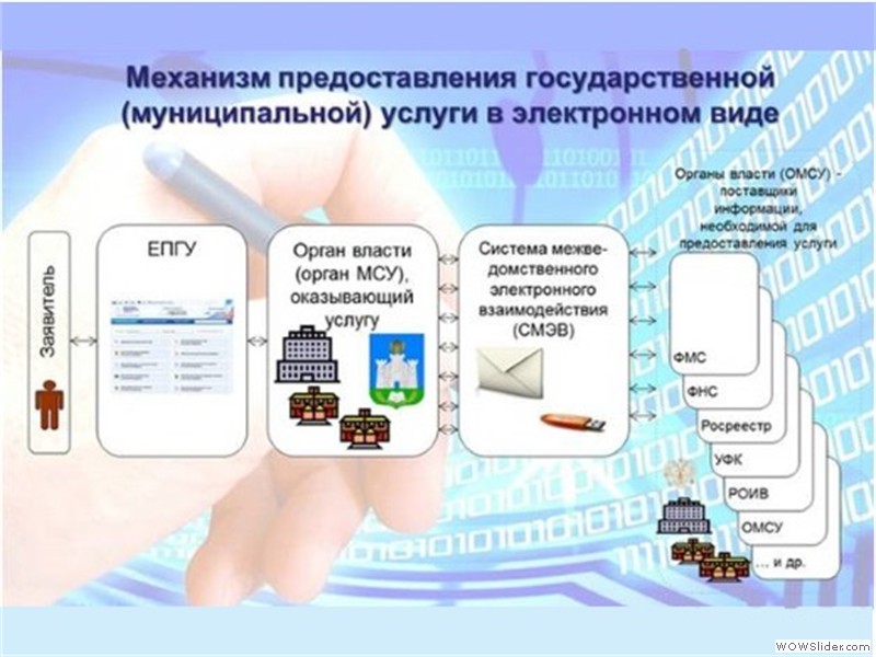 виды электронных государственных услуг график. общий порядок предоставления государственных и муниципальных услуг. оказание государственных услуг. госуслуги функции. функции портала госуслуги.