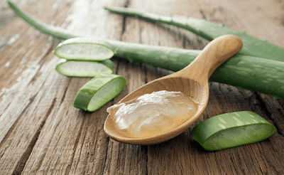 Image Kasiat Lidah Buaya Sebagai Obat Kutil Kelamin