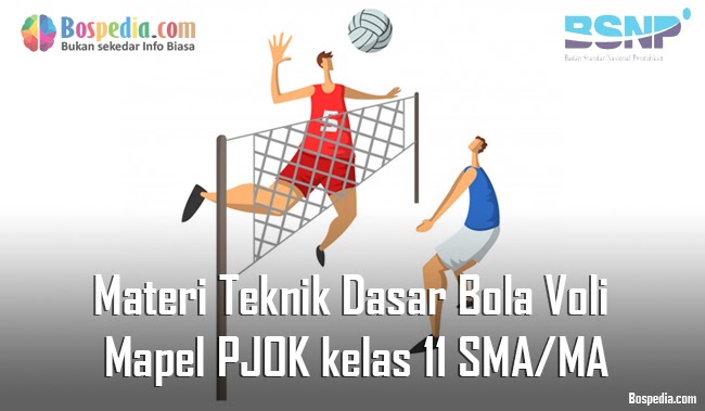 Materi Teknik Dasar Bola Voli Mapel Pjok Kelas 11 Sma Ma Bospedia