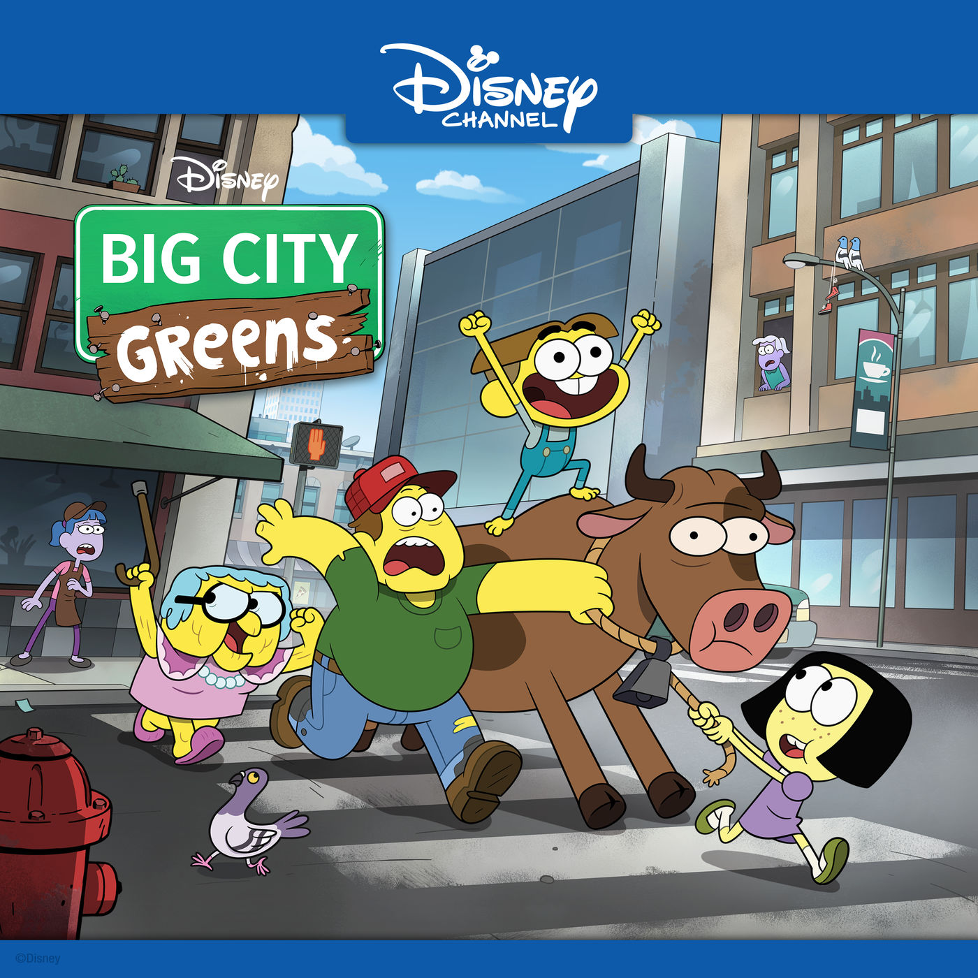 Big city greens dvd
