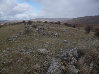 Zona alta. Alto del Castro. Riosalido