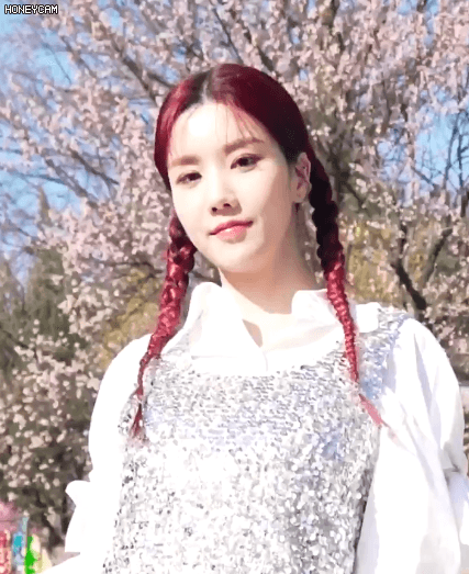 데이즈드 개인컷