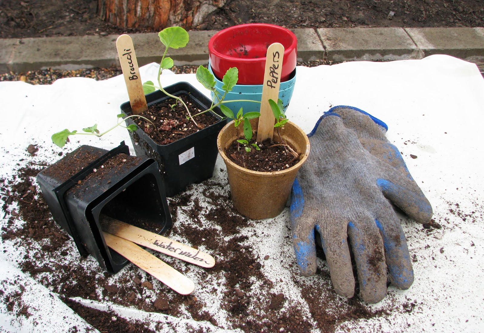 Five Uses for Old Sheets