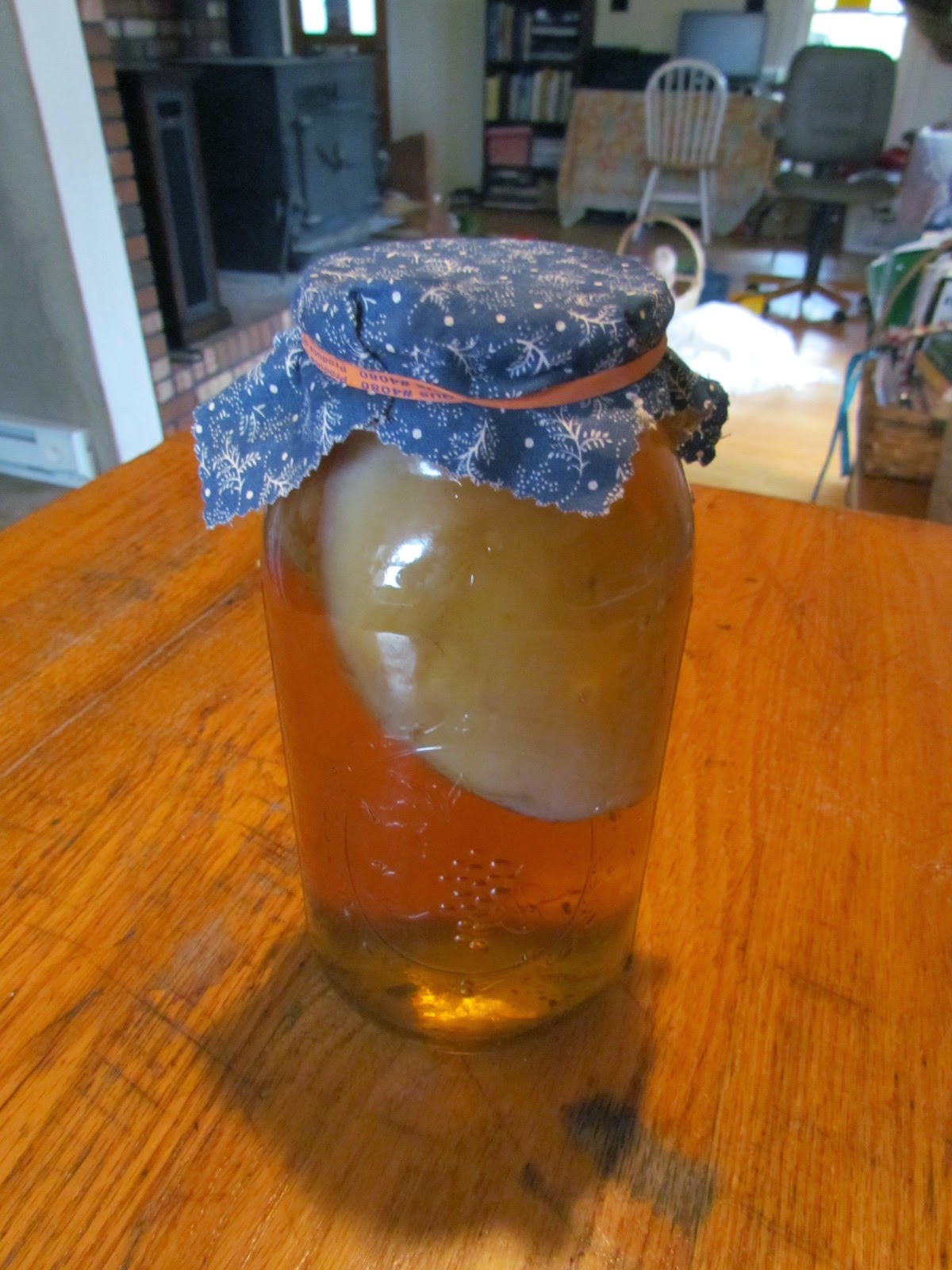 Wild Garden Goddess The Kombucha Experiment 1 Lemon Balm