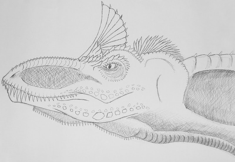 dinosaur sketch art dinosaur sketch art