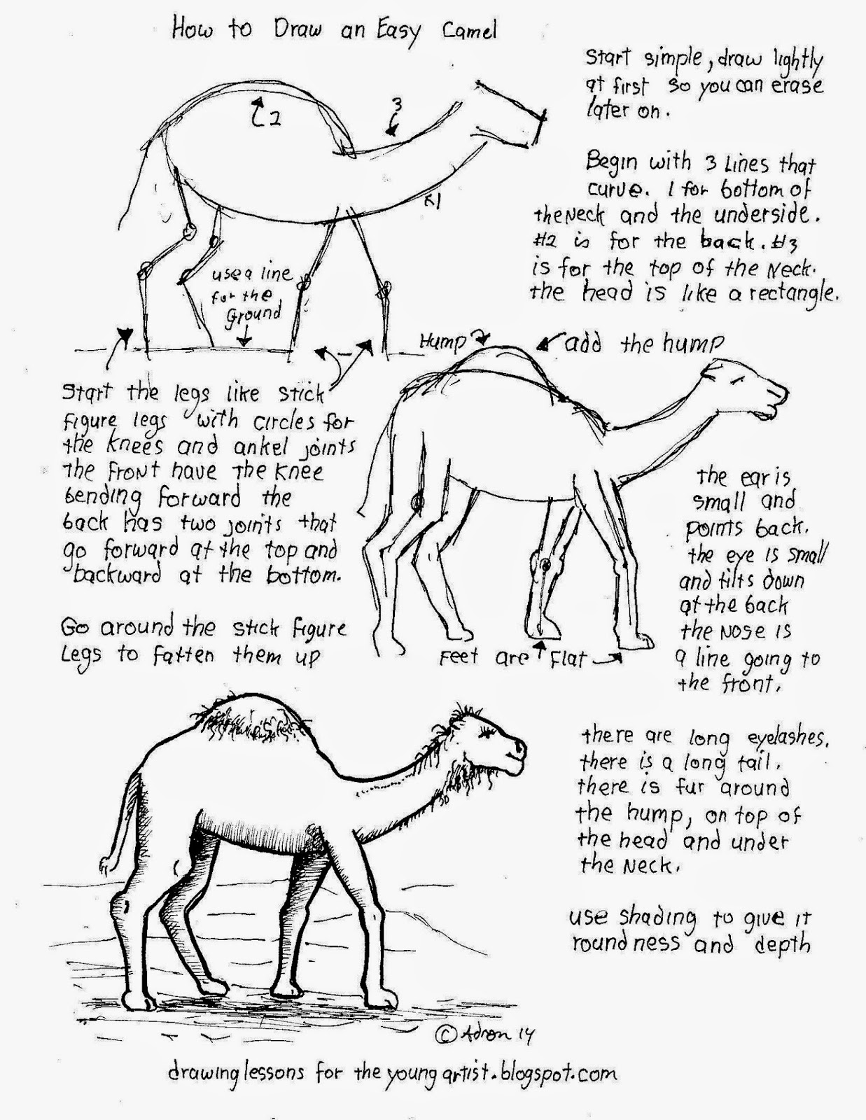 A printable how to worksheet for drawing a camel