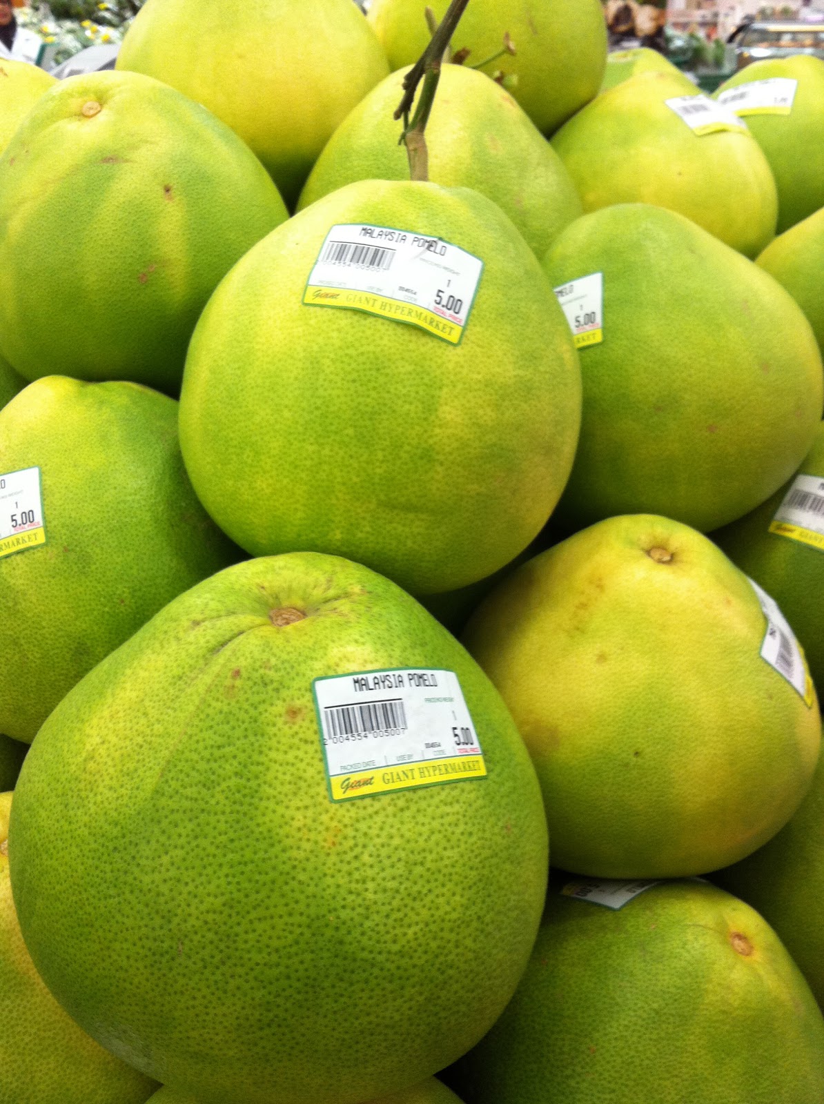 The Willis Family Adventures Karen's fruit of the week Pomelo