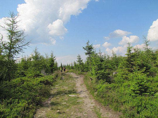 Szlak przez Żmijowiec.