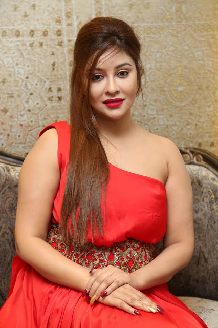 Payal+Ghosh+Latest+Red+Gown+Hot+HD+Photo