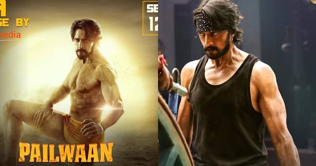 CALL FROM MAKERS OF MOVIE 'PAILWAAN'