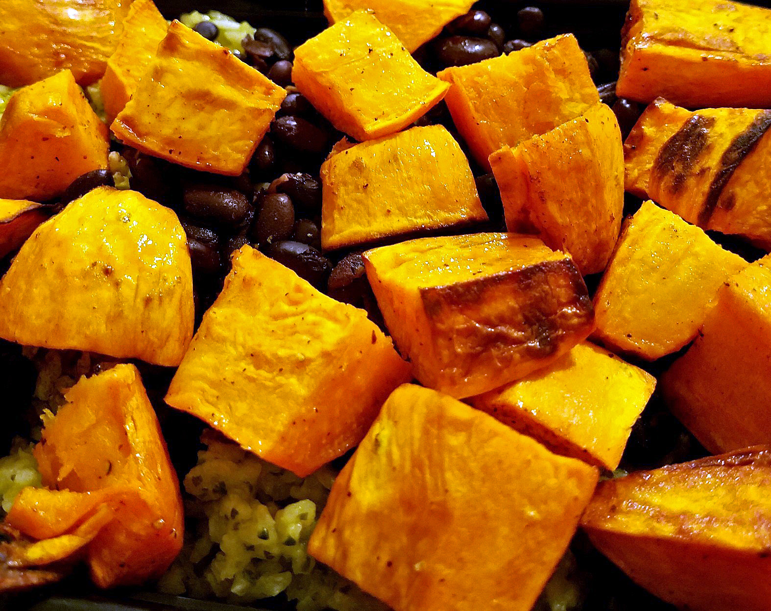 5 Vegetarian Meal Prep Ideas for College Kids The Blergh