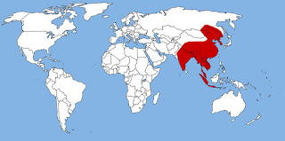 Asya yaban köpeğinin dağılım haritası