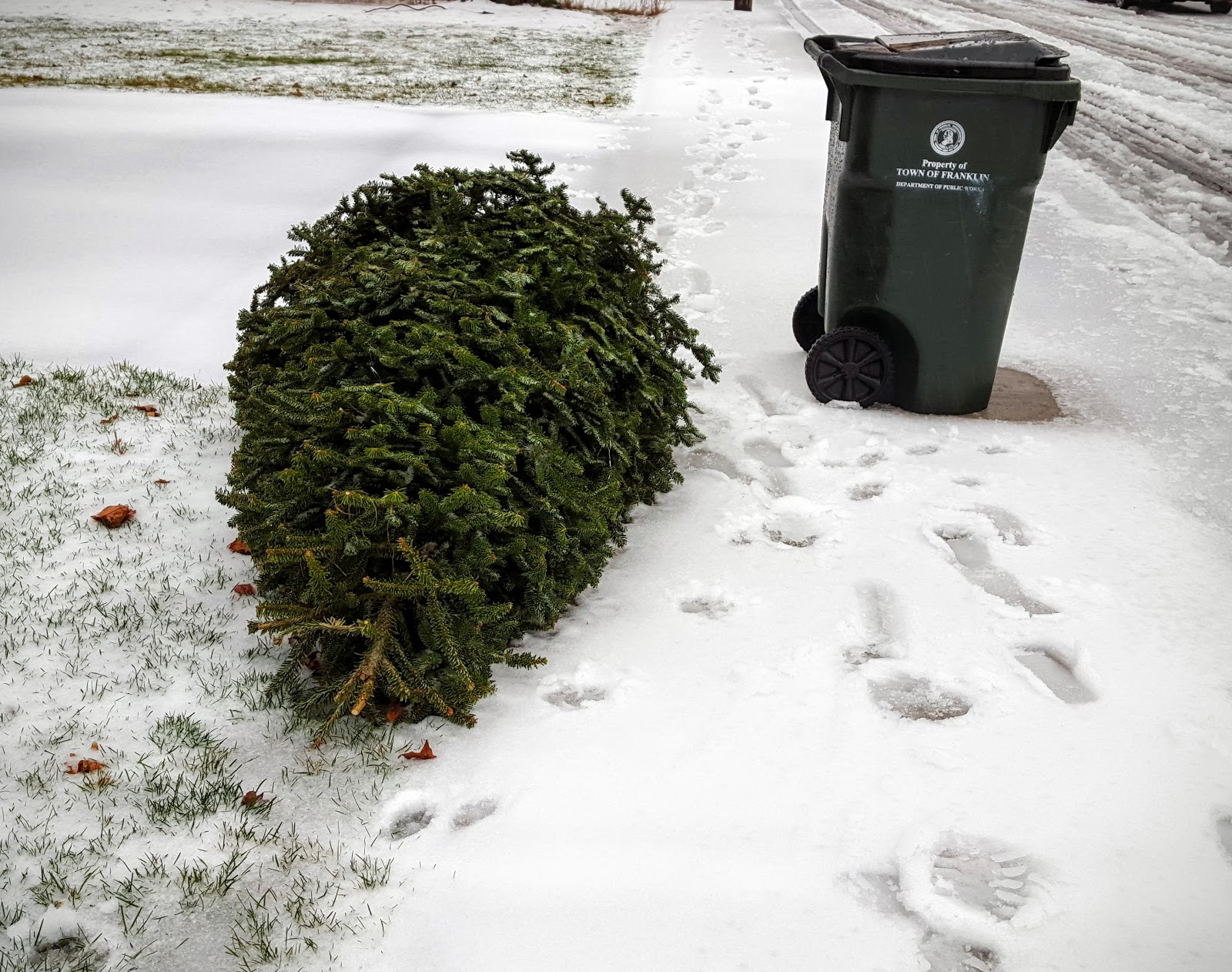 Franklin Matters Reminder Christmas Tree Collection Days week of