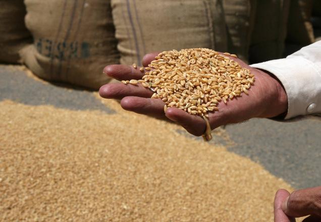 The Economic Co-ordination Committee fixed the subsidy price of wheat at Rs. 1650 per quintal.