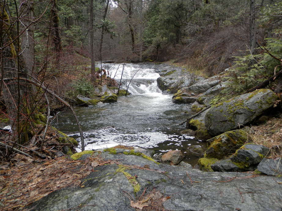 GarySummer March 21, 2013 Lewis Creek
