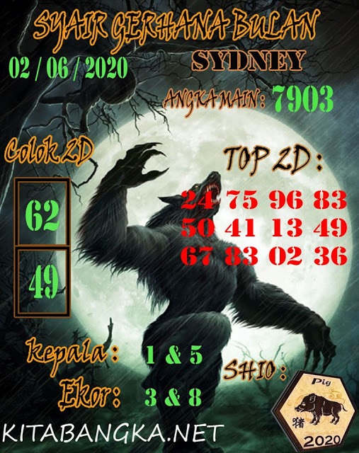 SYAIR TOGEL SYDNEY SELASA 02 JUNI 2020