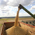 Conab reforça previsão de safra recorde de grãos  
