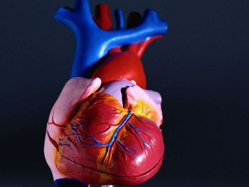 A Comprehensive Guide To Alcoholic Cardiomyopathy.