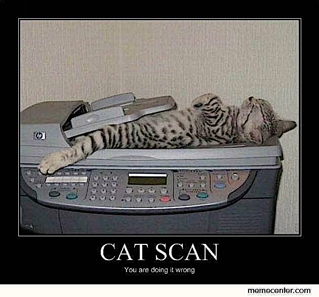 CatScanC.jpg