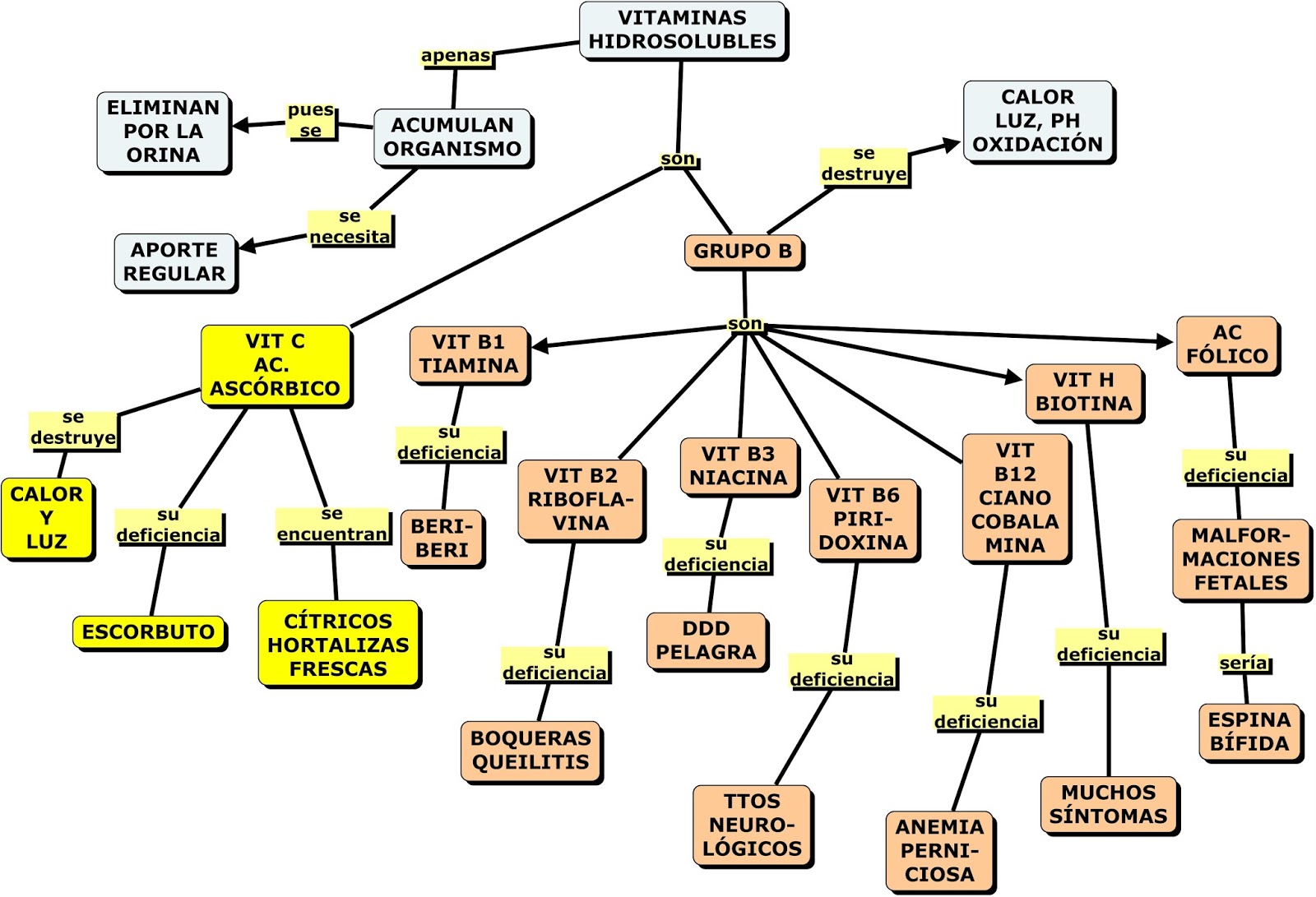 Cuadro Vitaminas Hidrosolubles Funcion Deficiencia Fuente Cuadro Vitaminas Hidrosolubles Funcion Deficiencia Fuente