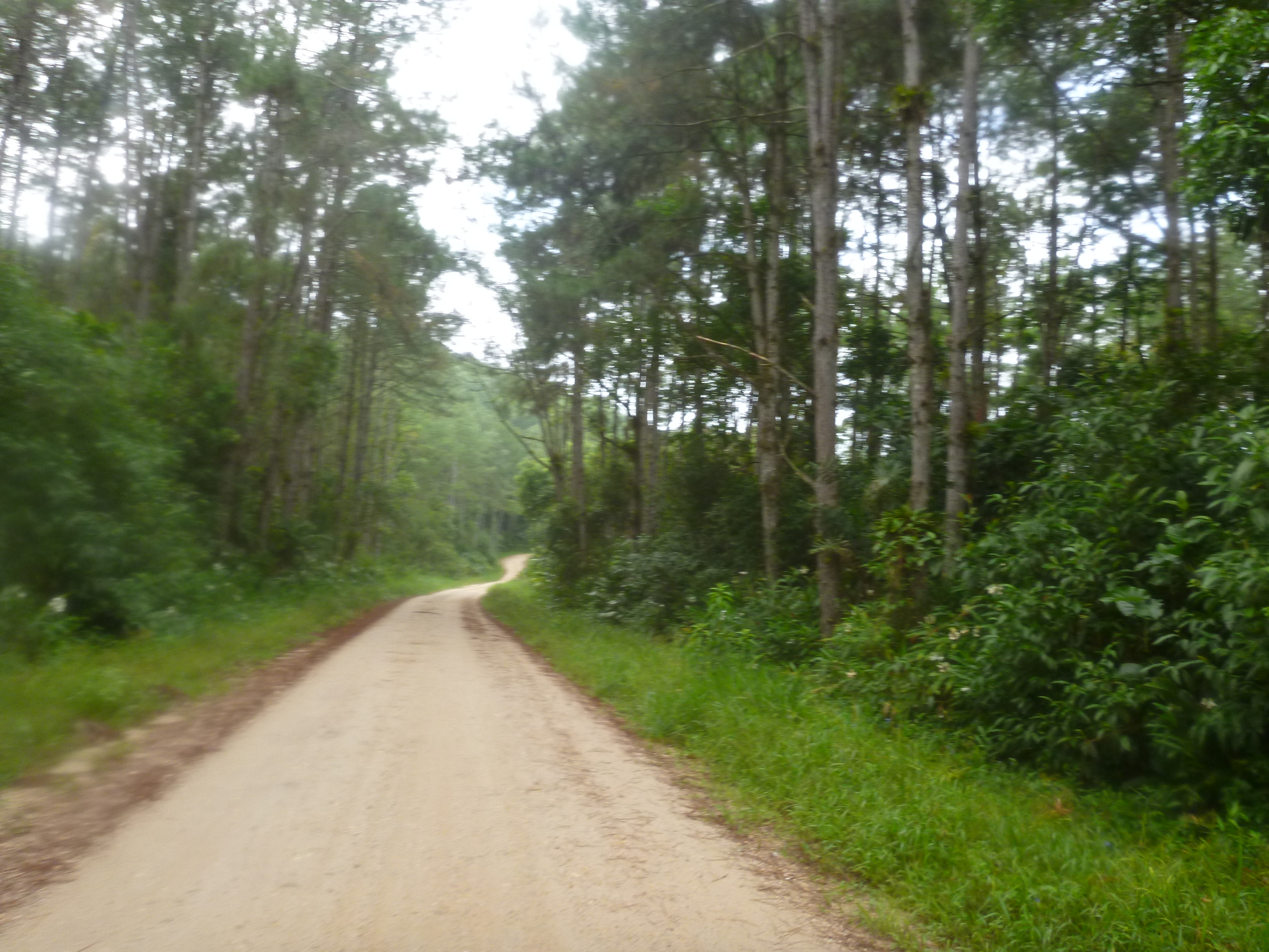 Pedal na Melhor Idade JoinvilleEstrada PalmitalVigorelli 29/03/2014