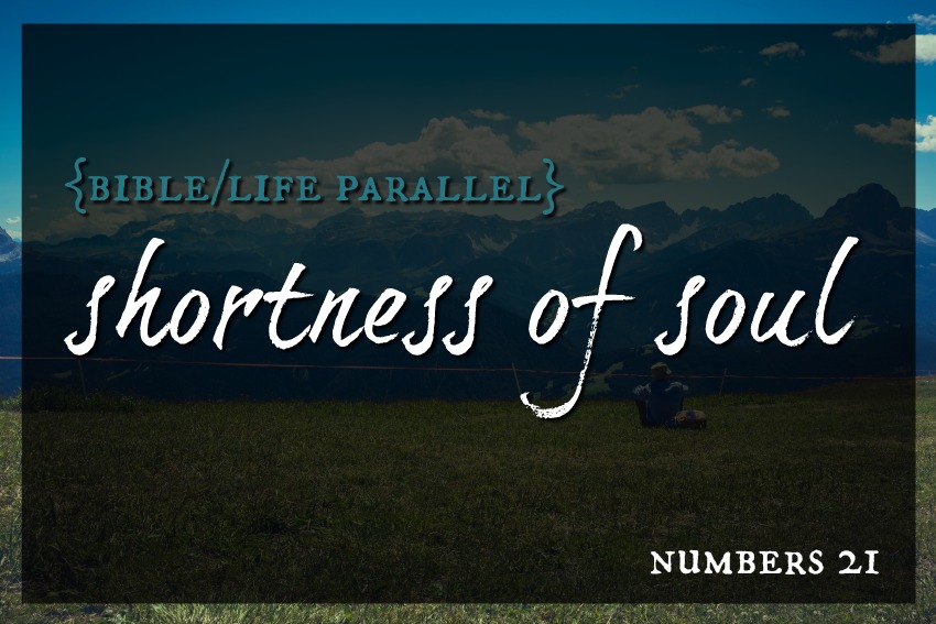Stone Soup for Five {Bible/Life Parallel} Shortness of Soul Numbers 21
