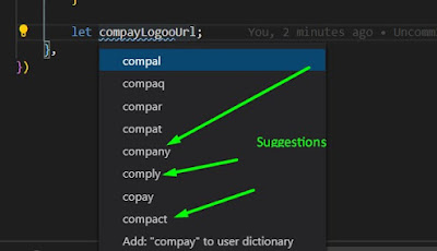 Code Spell Checker Suggestions