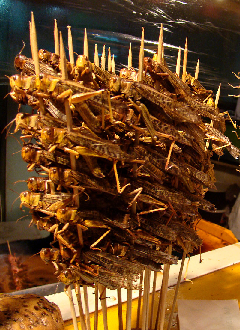 Eat, Drink, Rejoice & Be Glad