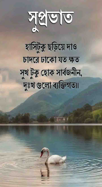 সুপ্রভাত শুভেচ্ছা ছবি