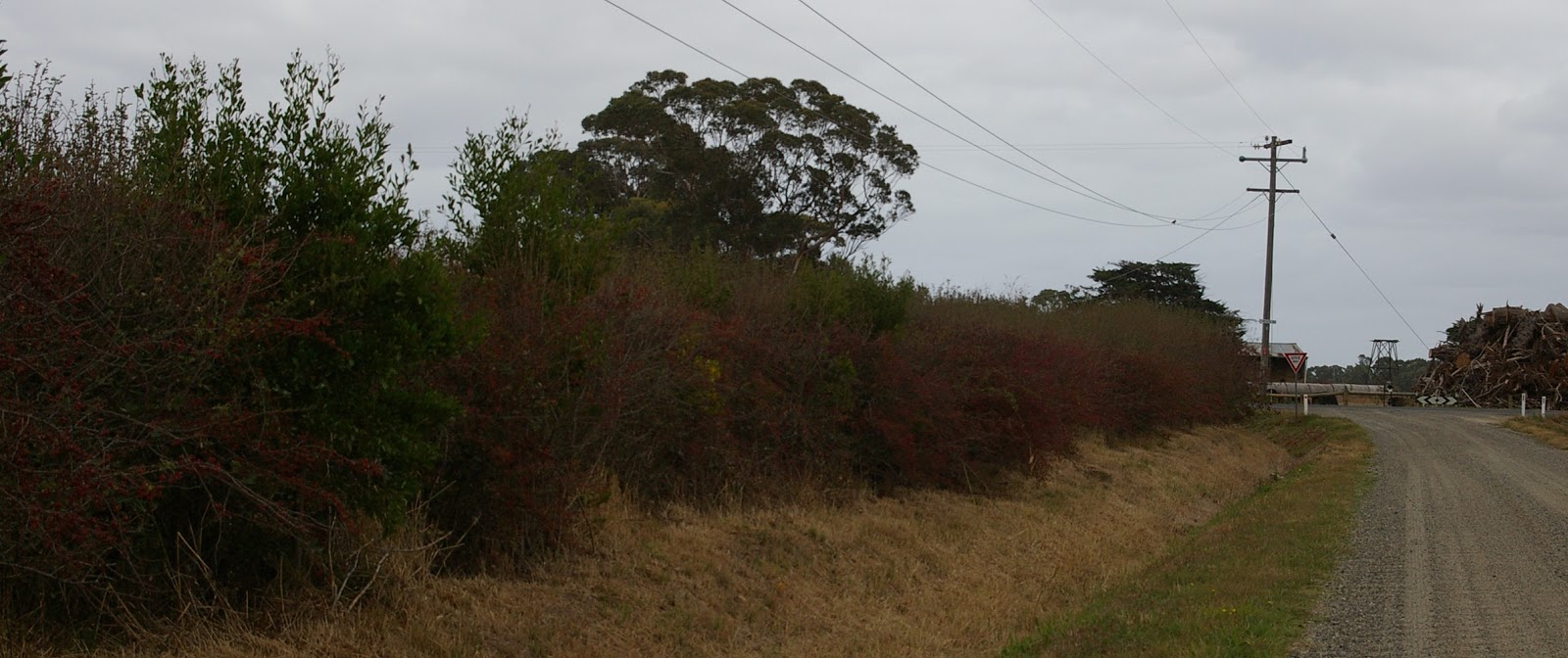 Casey Cardinia links to our past Farm Hedges