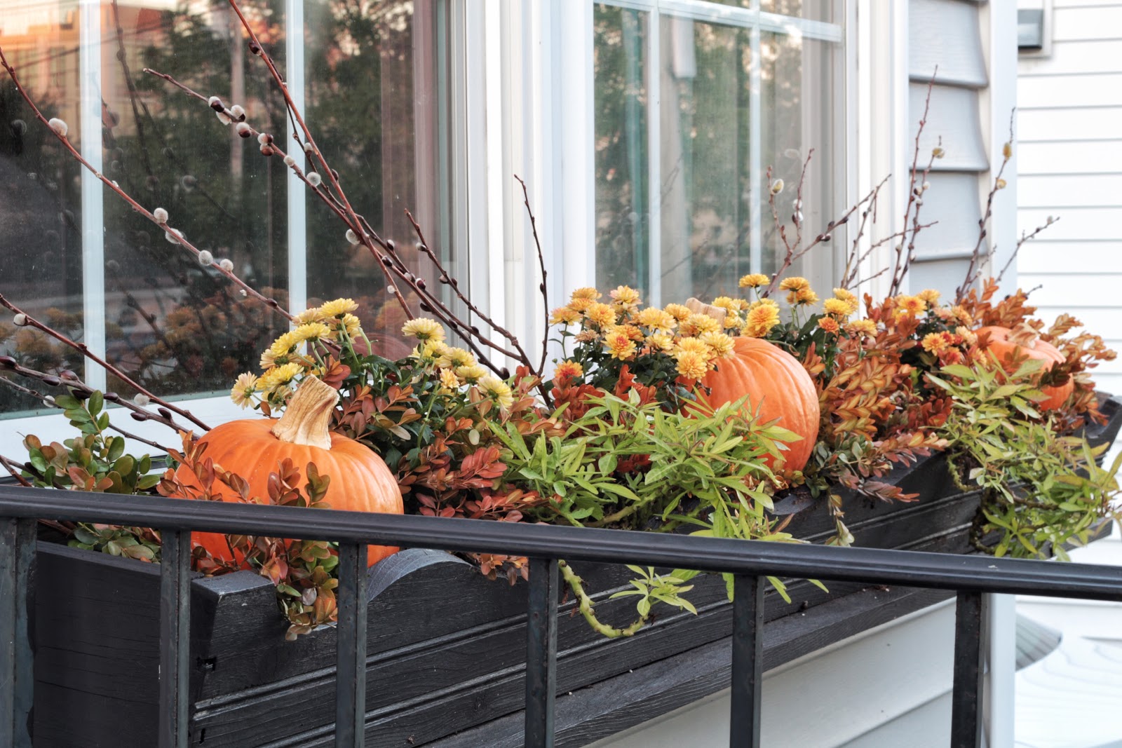 Fill fall window boxes for less