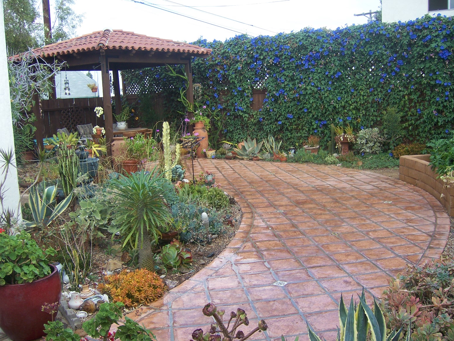 The 2 Minute Gardener Photo Succulent Garden with Saltillo Tile Patio