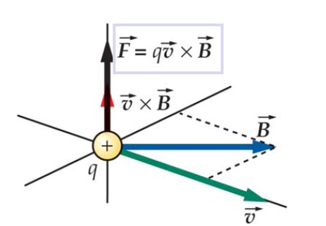 Magnetic Force on a Charged Particle