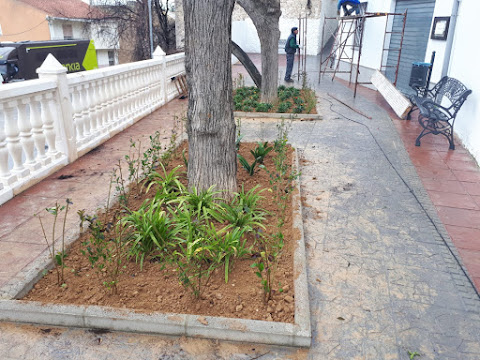 Preparación de terreno para colocar plantas en la población valenciana de Millares