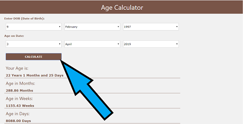 how to use age calculator