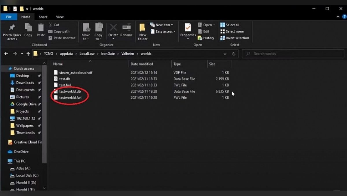 Where to find save files for the world in Valheim. How to transfer