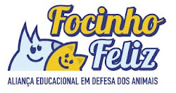 FOCINHO FELIZ