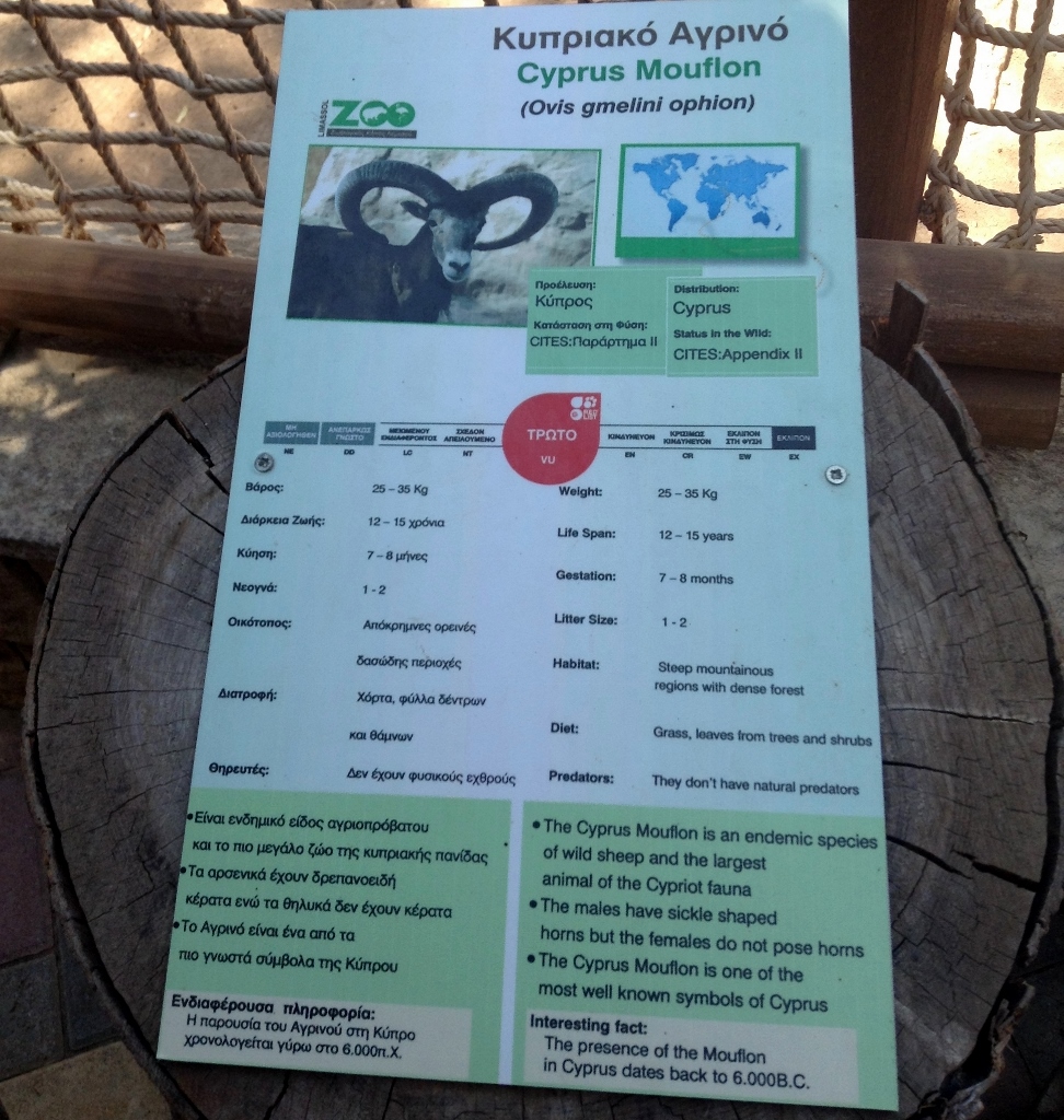 Exploring Cyprus Limassol Zoo