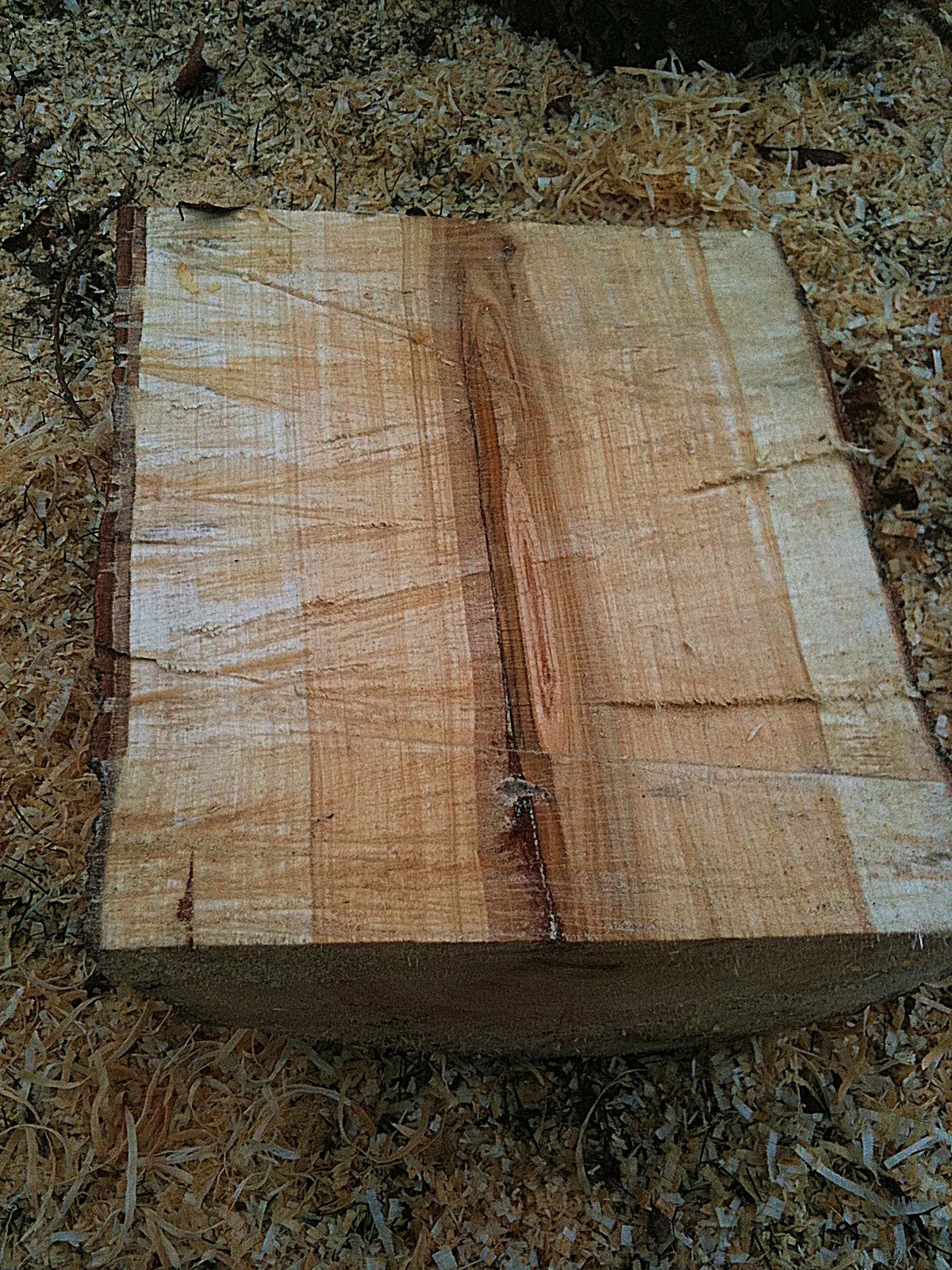 Simon Hill Green Wood Carving Poplar wood.