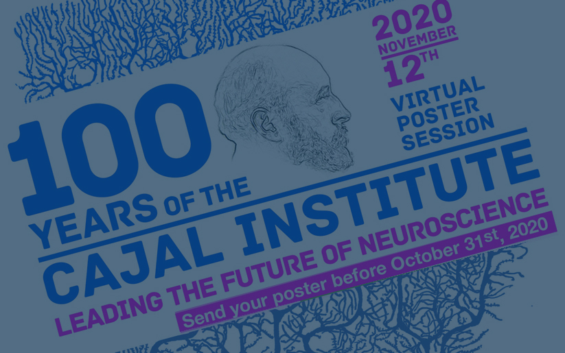 '100 years of the Cajal Institute Leading the future of Neuroscience'. Virtual poster session. November 12th 2020