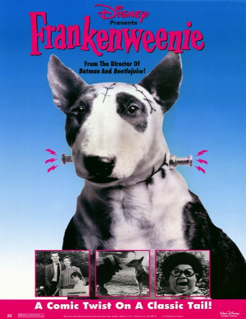Frankenweenie (1984) [Dvdrip][Esp][Comedia][192MB][1F]  Frankenweenie_500x650