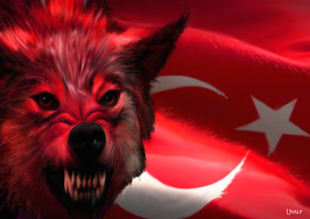 Türk Bayrakları Kurt Resmi Bulunan Türk Bayrakları