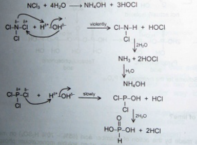 Welcome To Chem Zipper Com Why Hydrolysis Of Ncl3 Gives Nh4oh And Hocl While Pcl3 On Hydrolysis Gives H3po3 And Hcl
