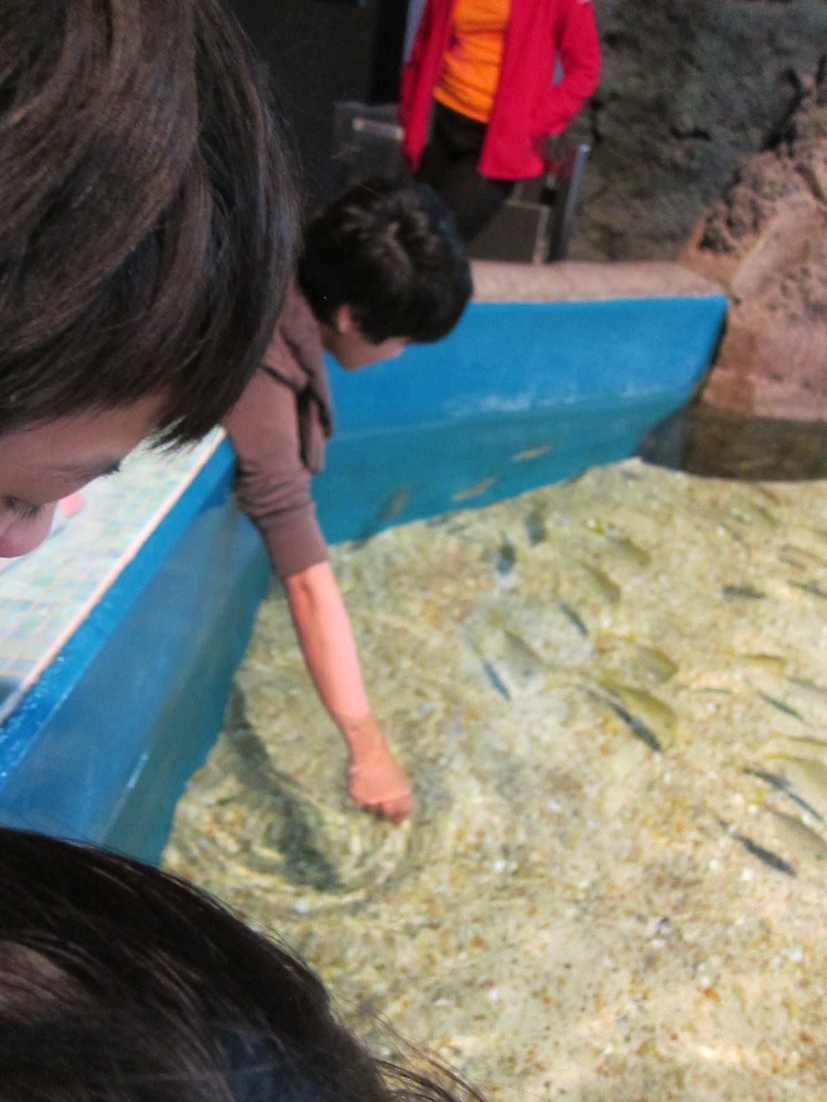 SCARBERIAN FASHION LOVER