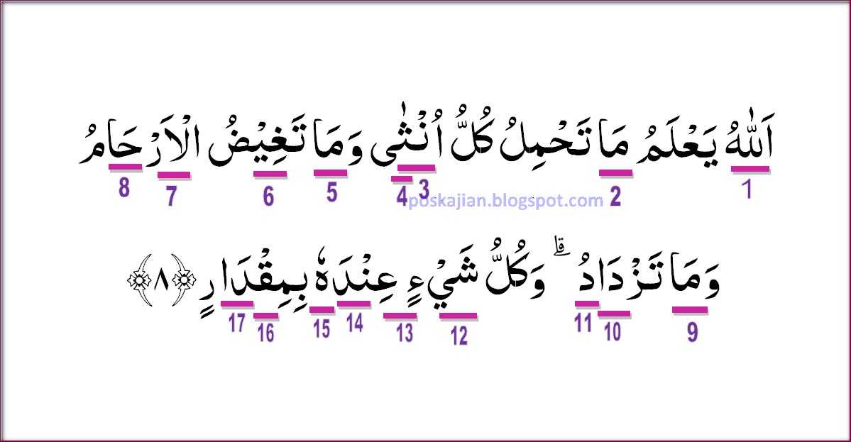 Hukum Tajwid Al Quran Surat Ar Ra D Ayat 8 Lengkap Dengan